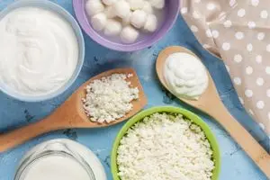 fermented dairy products